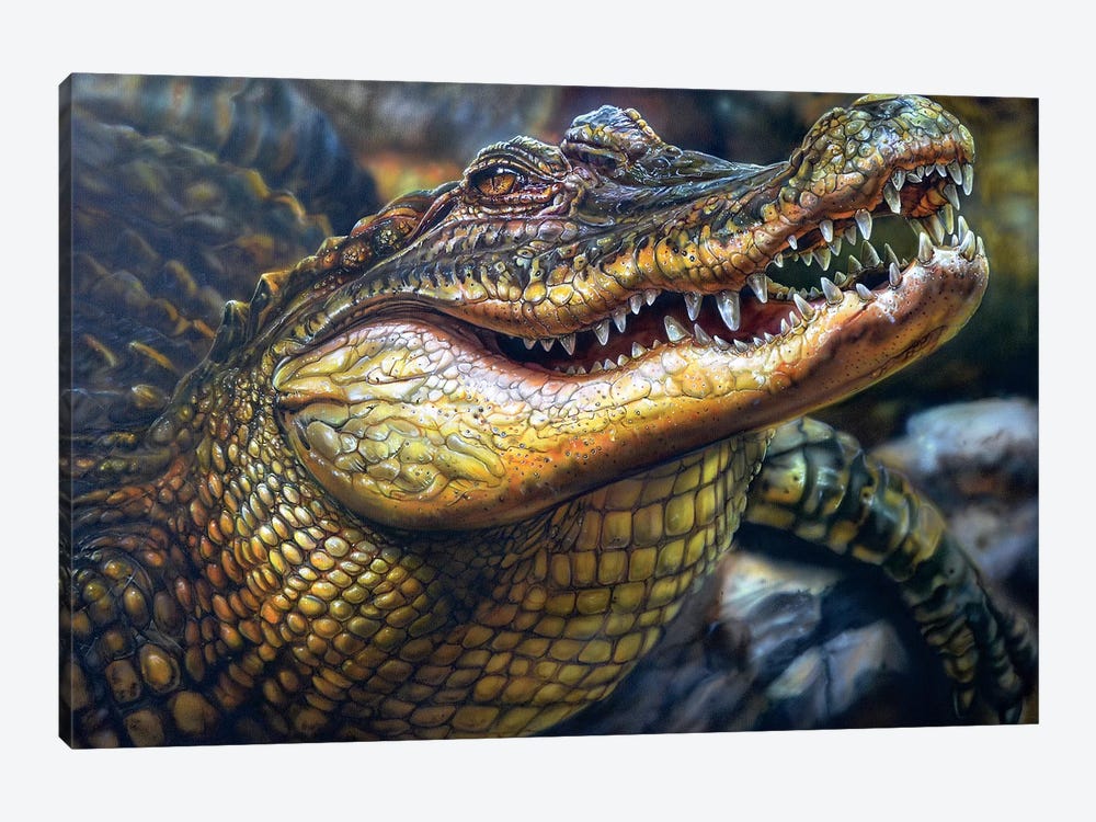 Crocodile by Derek Turcotte 1-piece Art Print