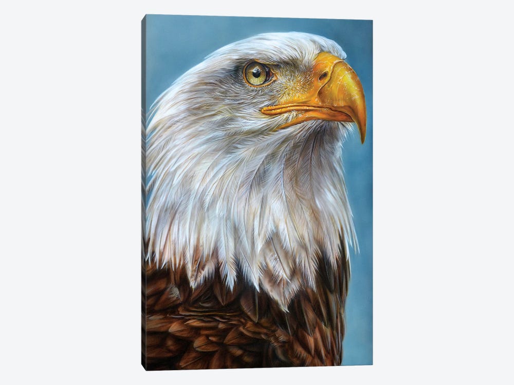 Eagle by Derek Turcotte 1-piece Canvas Art Print