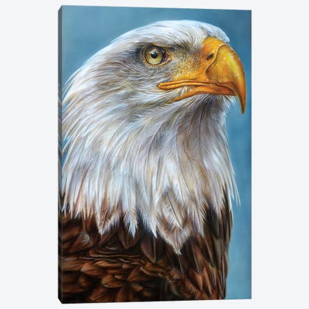 Eagle Canvas Print #DET17} by Derek Turcotte Canvas Art Print