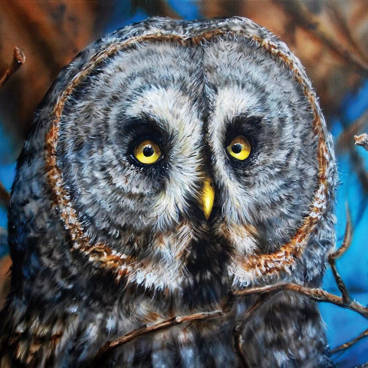 Great Grey Owl