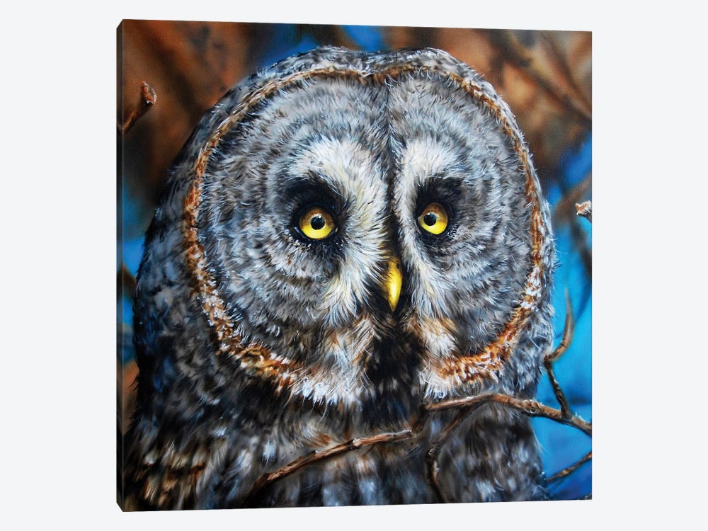 Great Grey Owl by Derek Turcotte 1-piece Canvas Wall Art