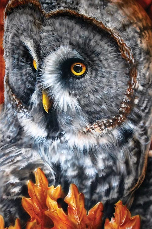 Greaty Grey by Derek Turcotte wall art