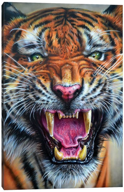 Angry Growl Canvas Art Print - Derek Turcotte