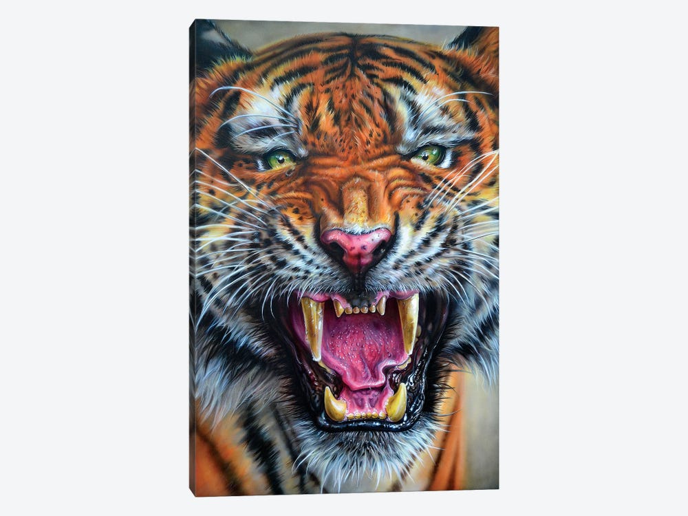 Angry Growl by Derek Turcotte 1-piece Canvas Print