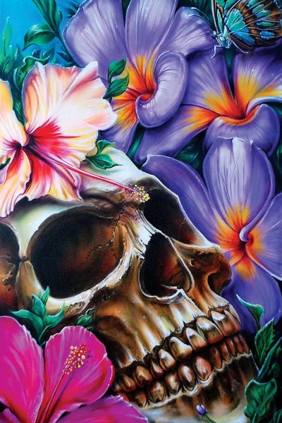 Skulls: Life And Death by Derek Turcotte