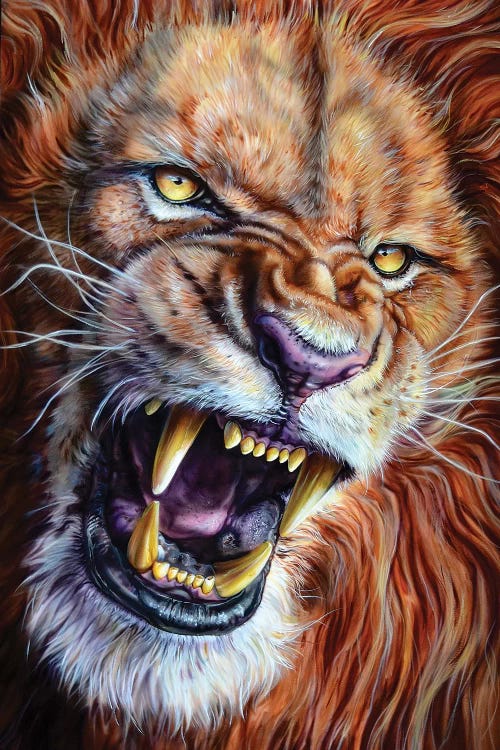Lion by Derek Turcotte wall art