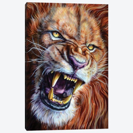 Lion Canvas Print #DET32} by Derek Turcotte Canvas Art