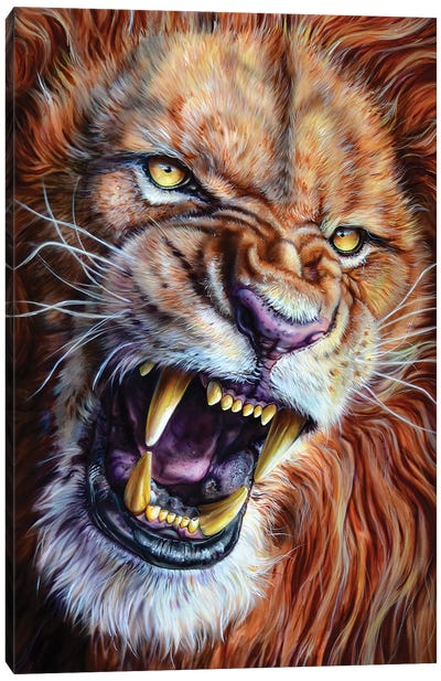Lion Canvas Art Print - Derek Turcotte