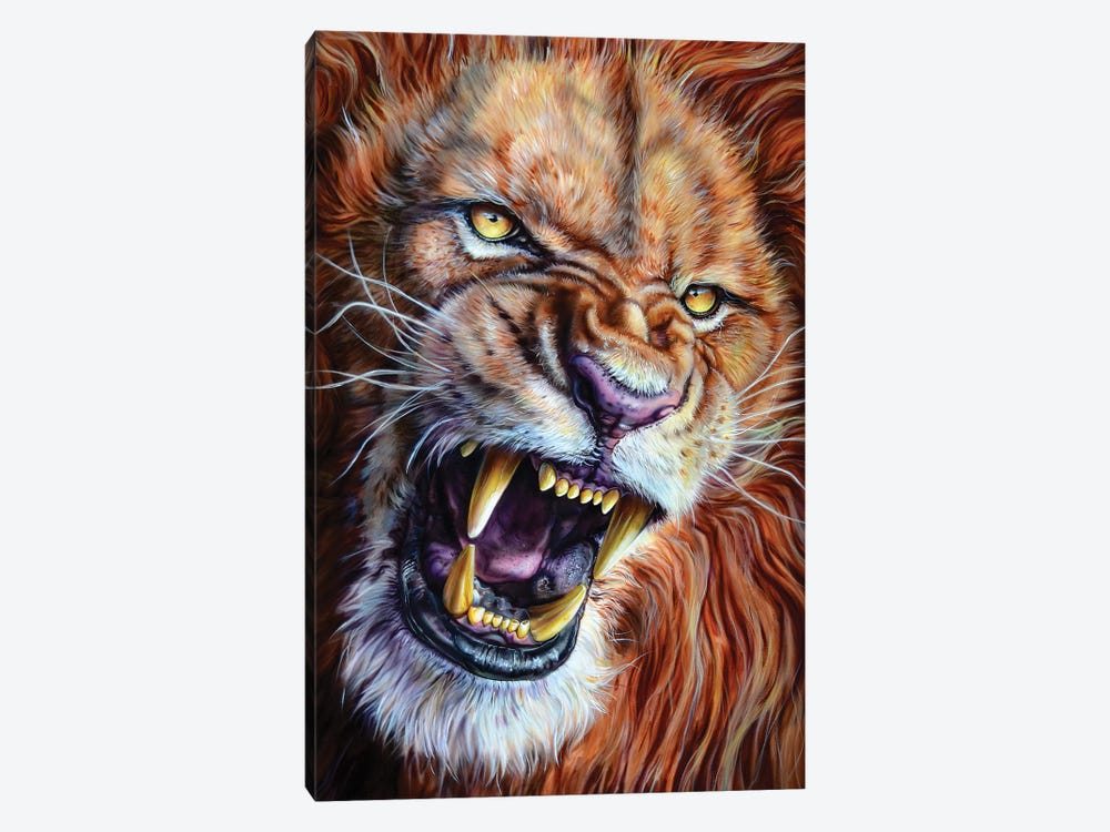 Lion by Derek Turcotte 1-piece Canvas Art