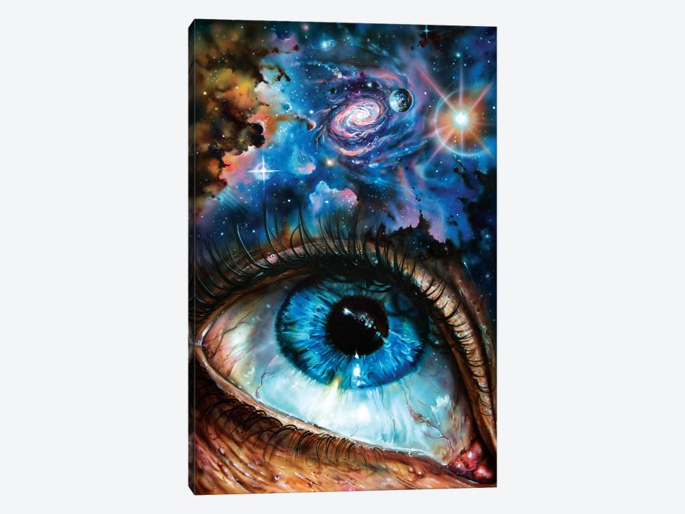 Looking At The Cosmos by Derek Turcotte 1-piece Canvas Art