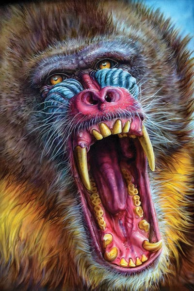 Mandrill
