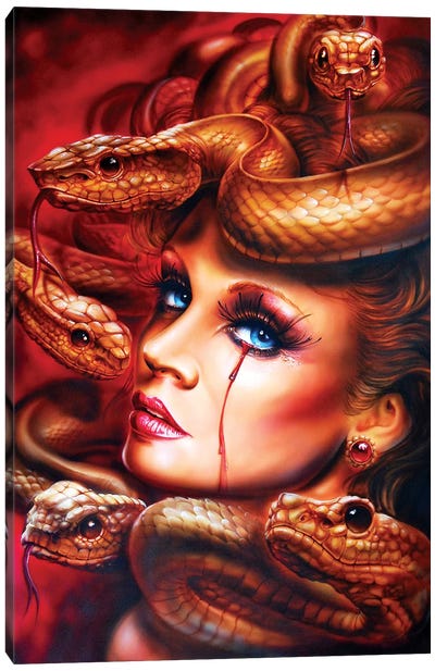 Medusa Canvas Art Print - Reptile & Amphibian Art