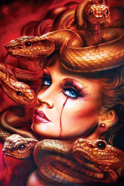 Snakes: Medusa by Derek Turcotte