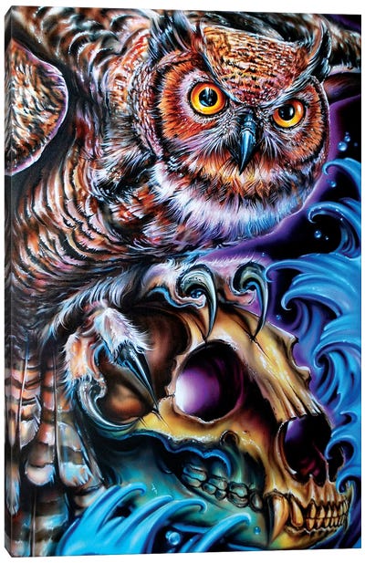Owl And Bear Skull Canvas Art Print - Derek Turcotte