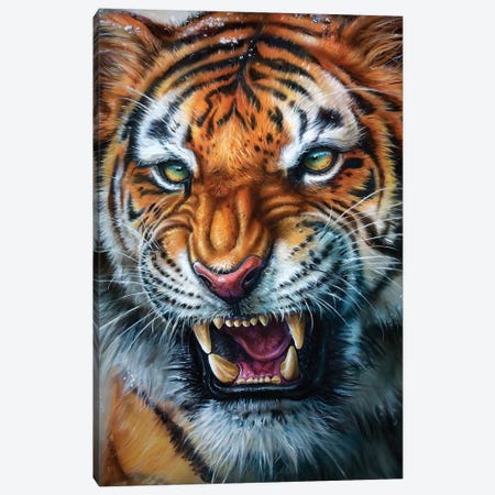 Tiger Canvas Print #DET51} by Derek Turcotte Canvas Artwork