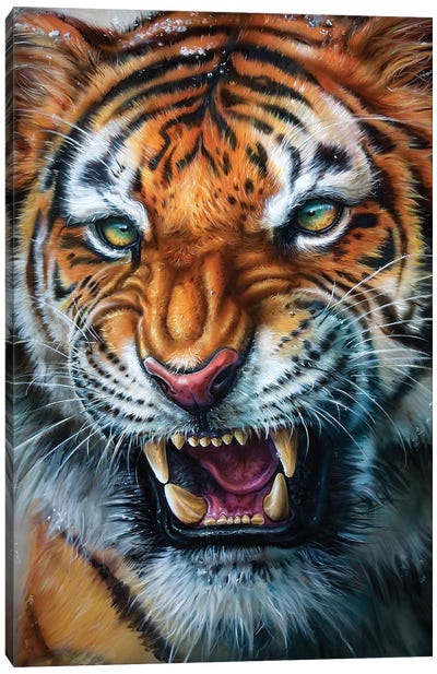 Tiger Canvas Art Print - Derek Turcotte