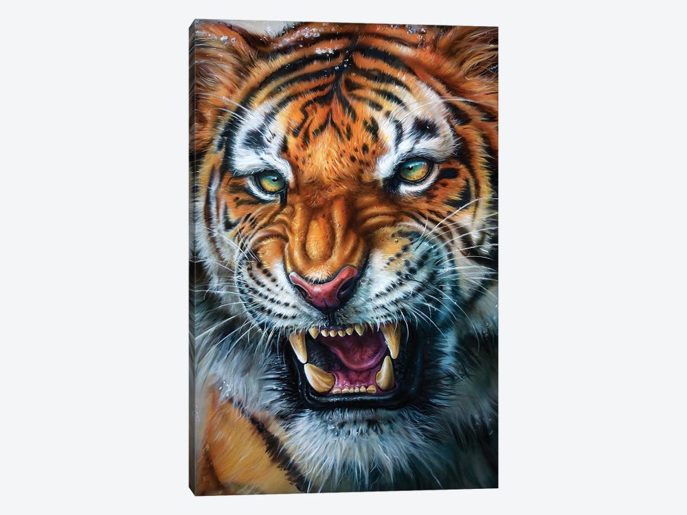 Tiger by Derek Turcotte 1-piece Canvas Print