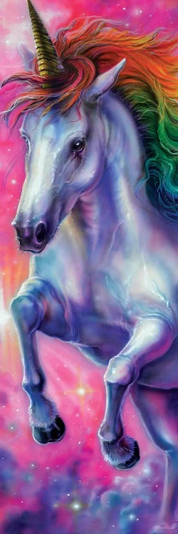 Space Unicorn by Derek Turcotte wall art