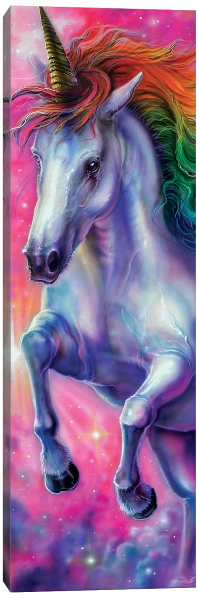 Space Unicorn Canvas Art Print - Derek Turcotte