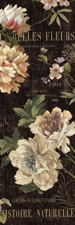 Fleurs Antique II