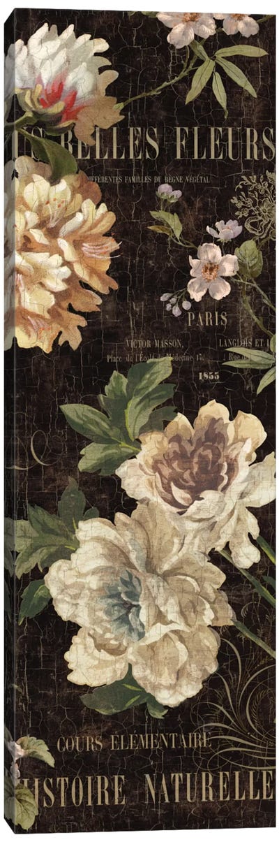 Fleurs Antique II Canvas Art Print - Deborah Devellier