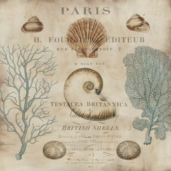 Nautiluses: Le Mer I by Deborah Devellier