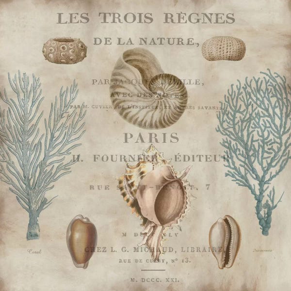 Deborah Devellier: Le Mer II by Deborah Devellier