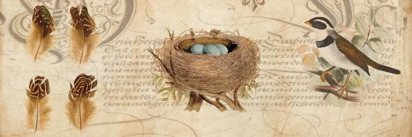 Deborah Devellier: Nesting I by Deborah Devellier