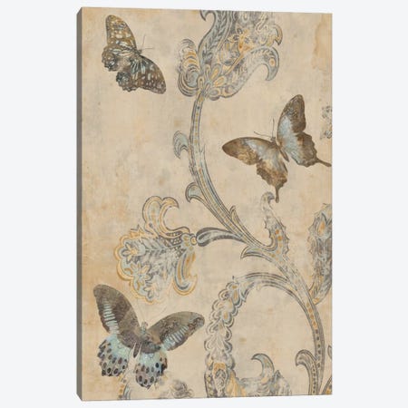 Papillion Decoratif I Canvas Print #DEV21} by Deborah Devellier Art Print