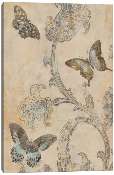 Papillion Decoratif I Canvas Art Print - Deborah Devellier