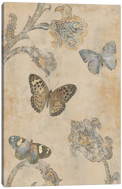 Papillion Decoratif II Canvas Art Print - Deborah Devellier