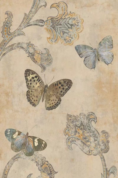 Shabby Chic Décor: Papillion Decoratif II by Deborah Devellier