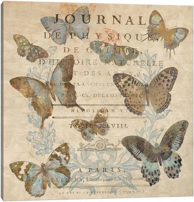 Papillon I Canvas Art Print - Deborah Devellier