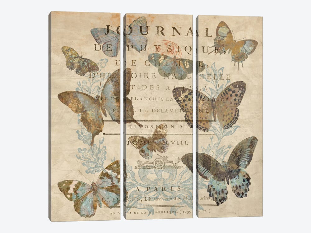 Papillon I by Deborah Devellier 3-piece Canvas Print