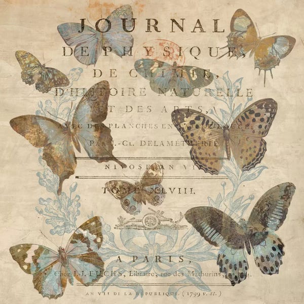 Deborah Devellier: Papillon I by Deborah Devellier