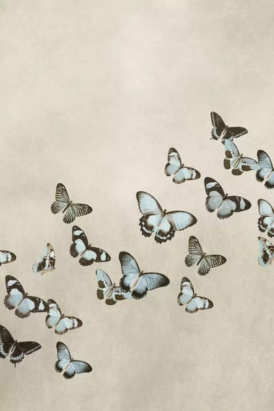 Deborah Devellier: Spring Flight I by Deborah Devellier
