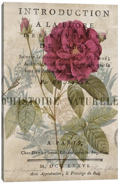 Botanique I Canvas Art Print