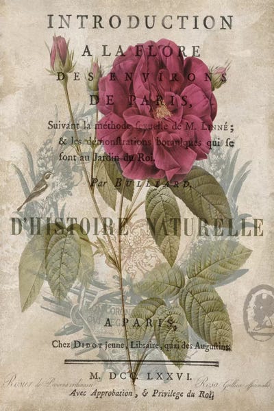 French Country Décor: Botanique I by Deborah Devellier