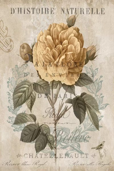 Deborah Devellier: Botanique II by Deborah Devellier