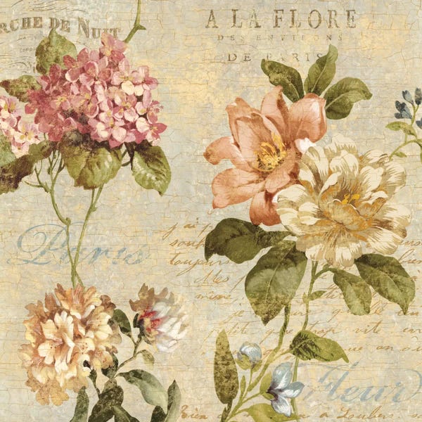 European Décor: Fleur Paris I by Deborah Devellier