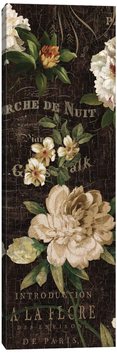 Fleurs Antique I Canvas Art Print - Deborah Devellier