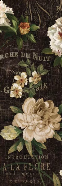 Shabby Chic Décor: Fleurs Antique I by Deborah Devellier