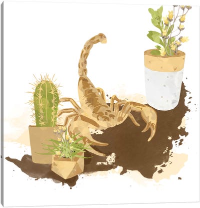 Modern Desert Dwelling Canvas Art Print - Scorpions