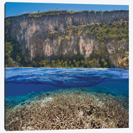 A Split Scene With A Shallow Hard Coral Reef Below And An Indonesian Island Above Canvas Print #DFH117} by David Fleetham Art Print