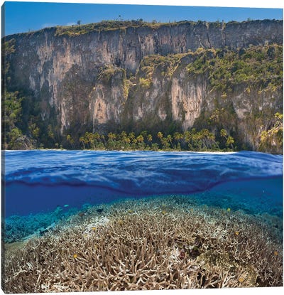 A Split Scene With A Shallow Hard Coral Reef Below And An Indonesian Island Above Canvas Art Print - David Fleetham