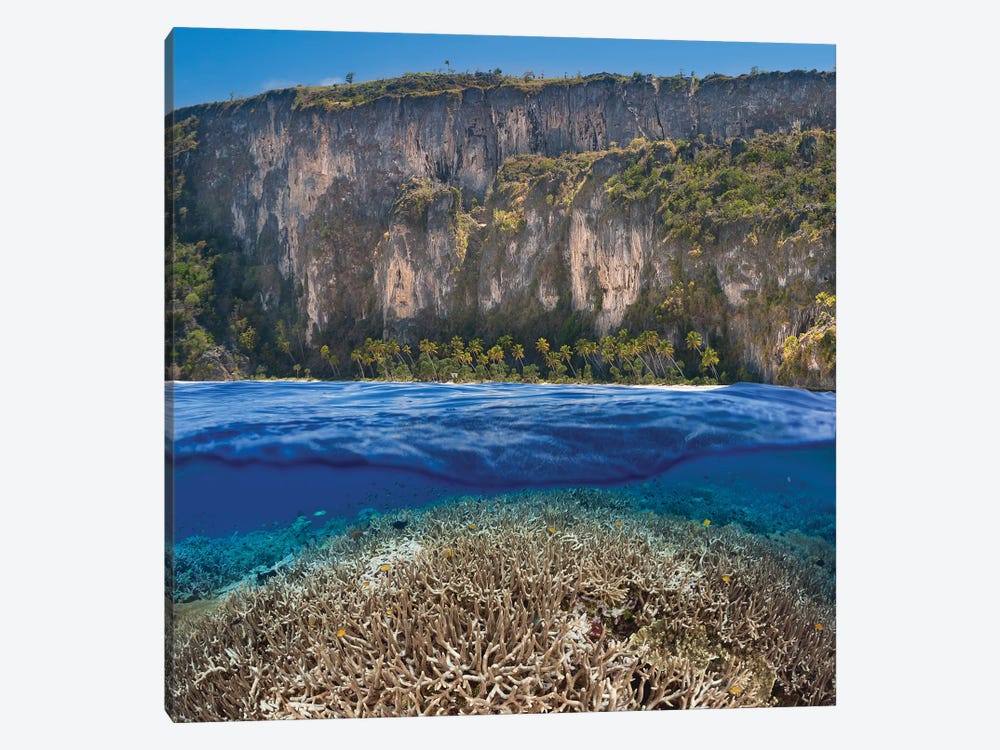 A Split Scene With A Shallow Hard Coral Reef Below And An Indonesian Island Above by David Fleetham 1-piece Canvas Art Print