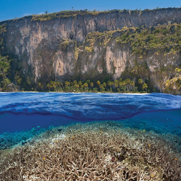 Indonesia: A Split Scene With A Shallow Hard Coral Reef Below And An Indonesian Island Above by David Fleetham