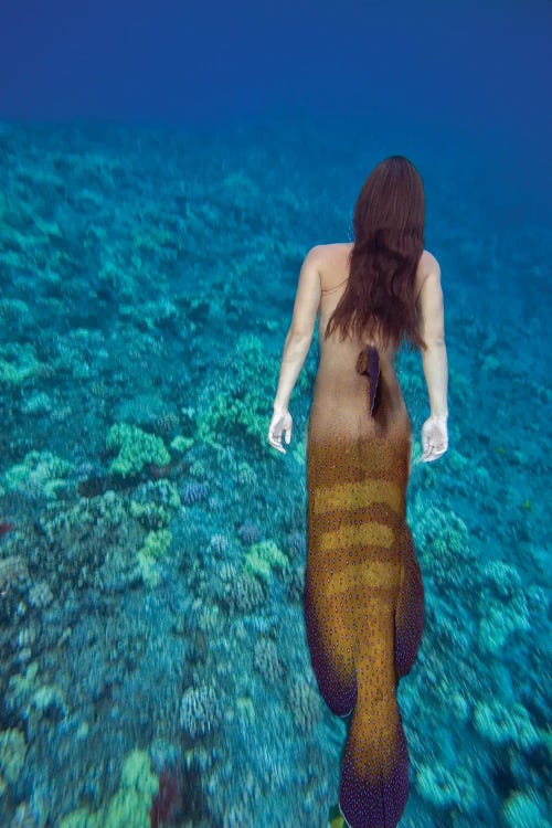 Digital Composite Of A Mermaid And Ocean Scene I by David Fleetham wall art