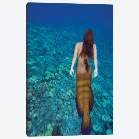 Digital Composite Of A Mermaid And Ocean Scene I Canvas Print #DFH163} by David Fleetham Canvas Print