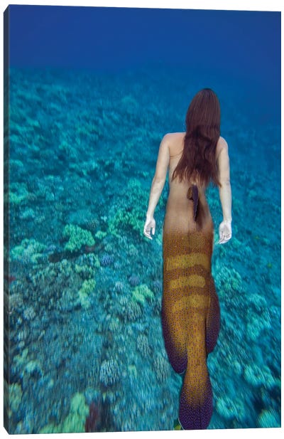 Digital Composite Of A Mermaid And Ocean Scene I Canvas Art Print - David Fleetham